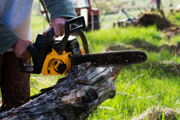 Best Hazardous Tree Removal  in Oakmont, PA